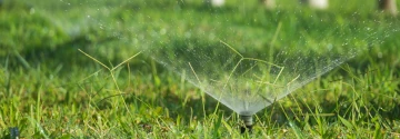 sprinkler photo